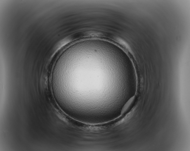 X0000086740827200704201704
