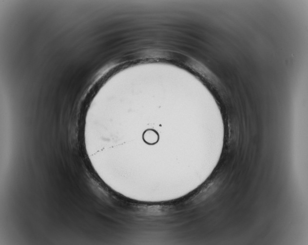 X0000086740828200704201704