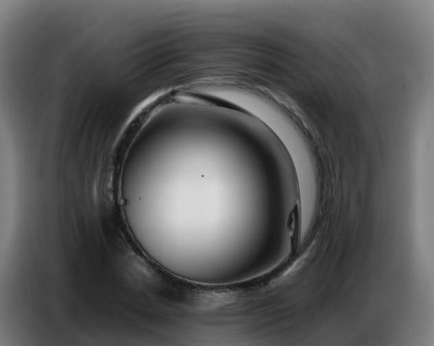 X0000086740830200704201704