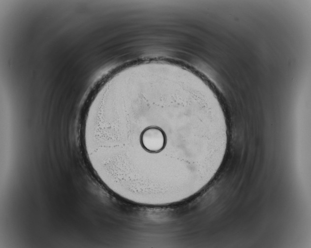 X0000086740832200704201704