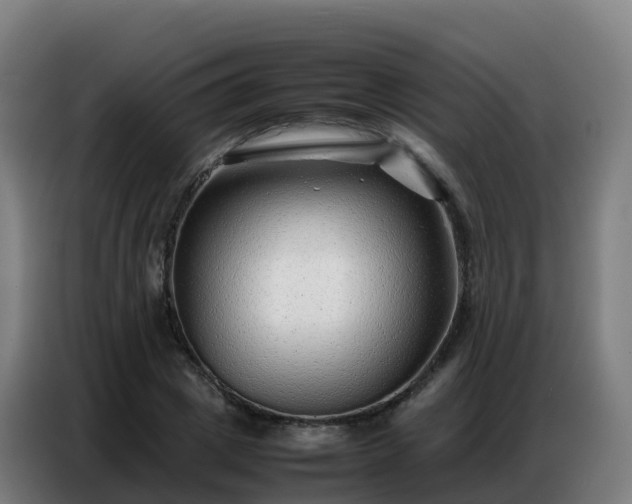 X0000086740833200704201704