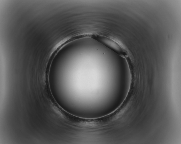 X0000086740834200704201704