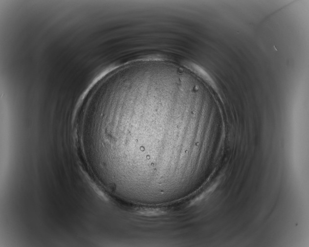 X0000086740835200704201704