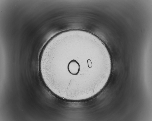 X0000086740836200704201704