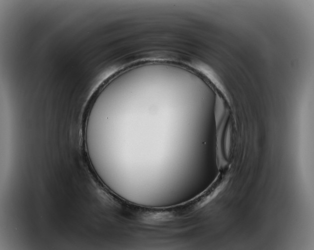 X0000086740837200704201704