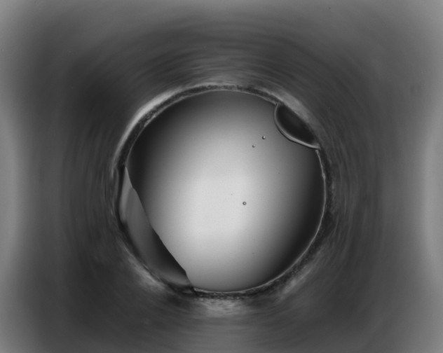X0000086740838200704201704