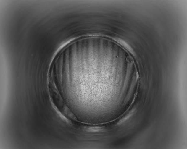 X0000086740839200704201704