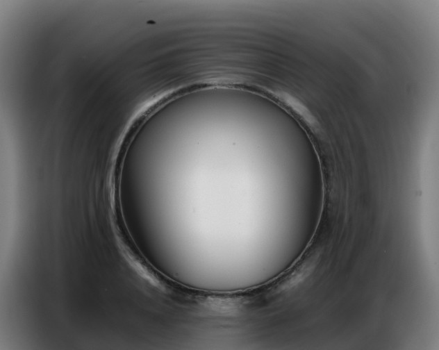 X0000086740840200704201704
