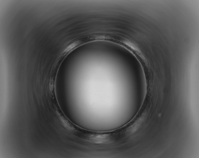 X0000086740841200704201704