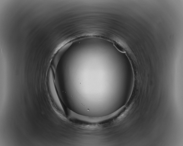 X0000086740842200704201704
