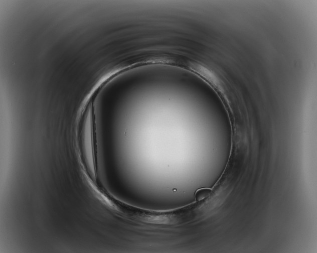 X0000086740843200704201704