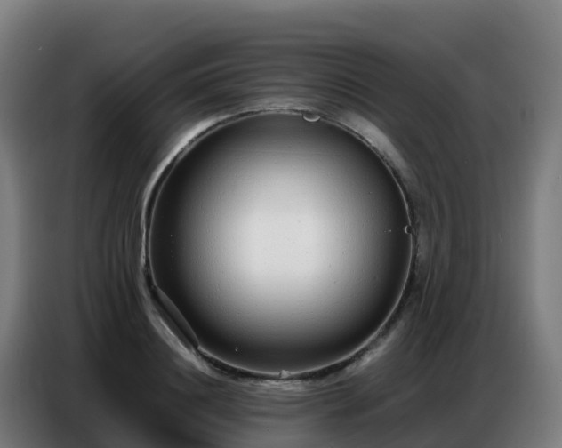 X0000086740844200704201704