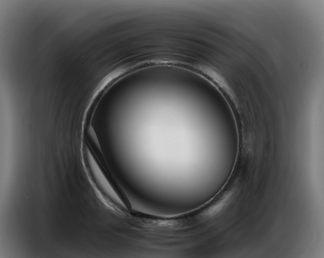 X0000086740845200704201704