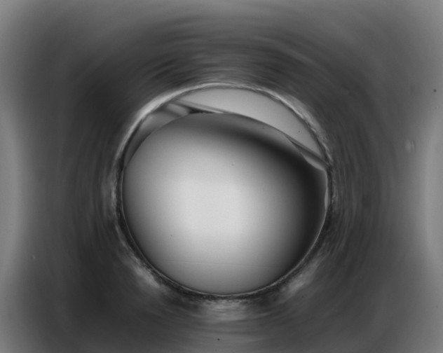 X0000086740846200704201704