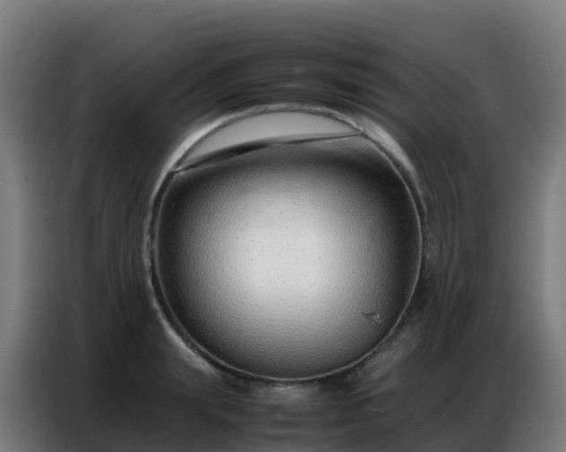 X0000086740847200704201704