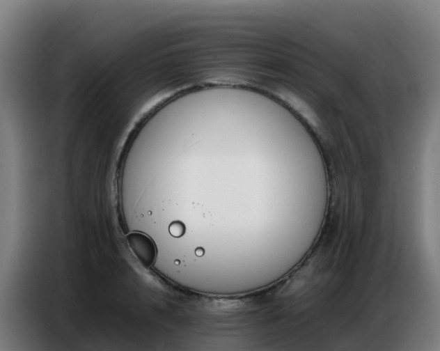 X0000086740848200704201704