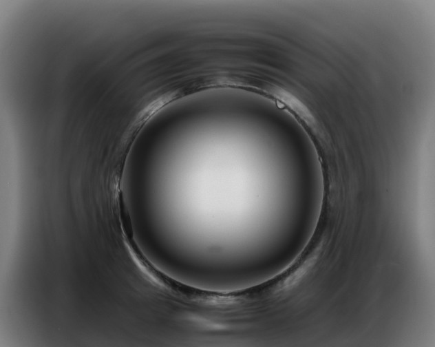 X0000086740849200704201704