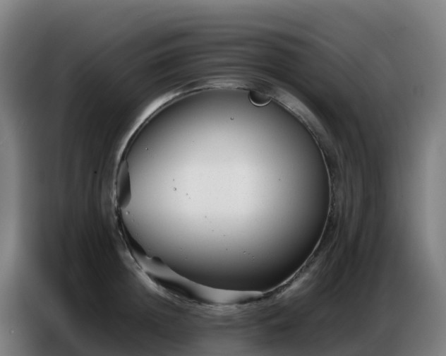 X0000086740852200704201704