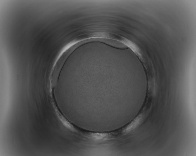 X0000086740854200704201704