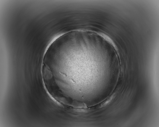 X0000086740855200704201704