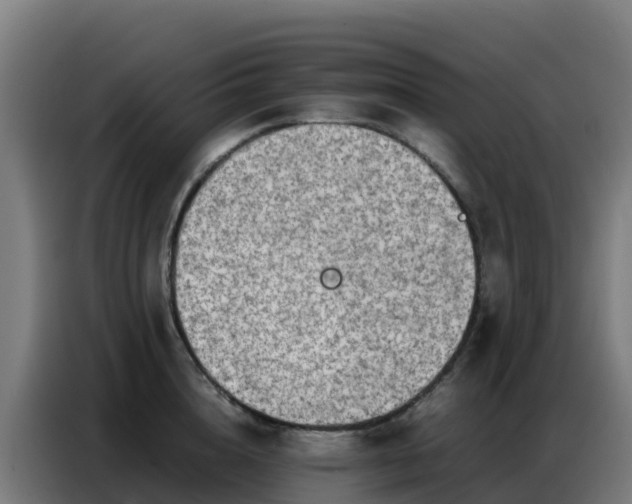 X0000086740856200704201704