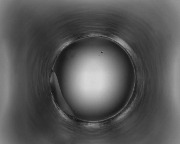 X0000086740857200704201704