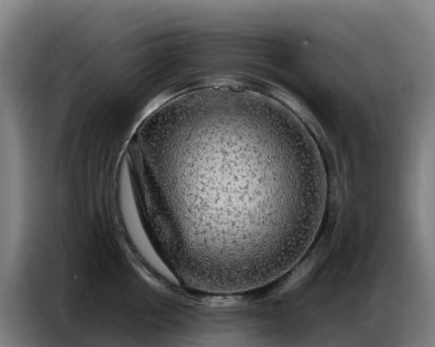 X0000086740858200704201704