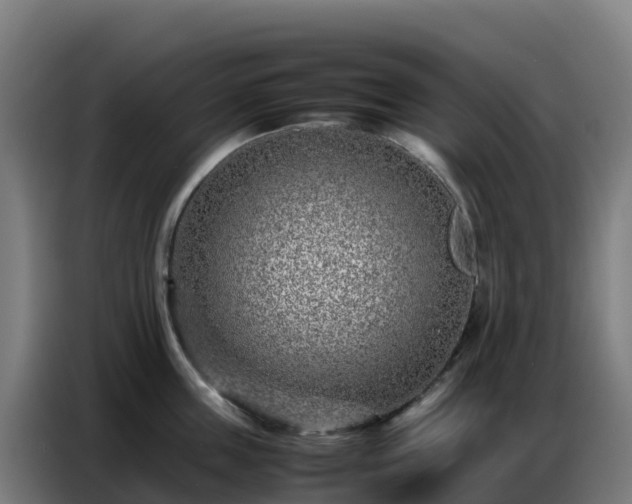 X0000086740859200704201704