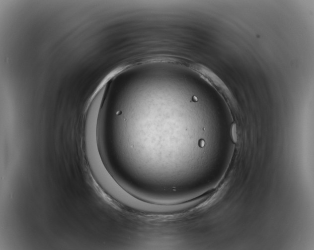 X0000086740860200704201704