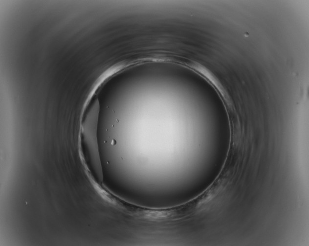 X0000086740861200704201704