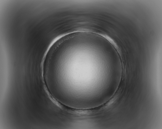 X0000086740862200704201704