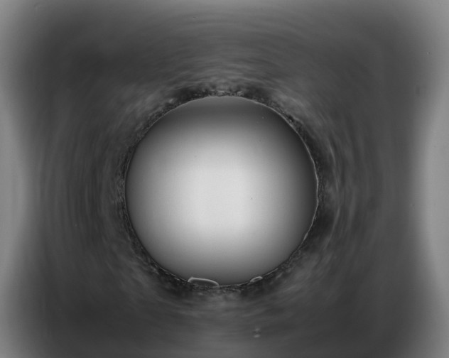 X0000086740865200704201704