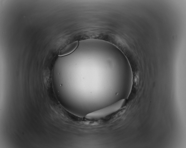 X0000086740867200704201704