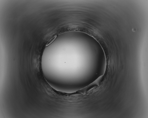 X0000086740868200704201704