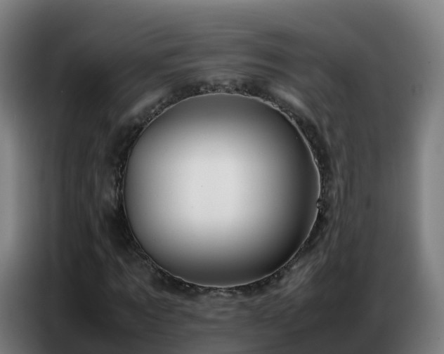 X0000086740869200704201704
