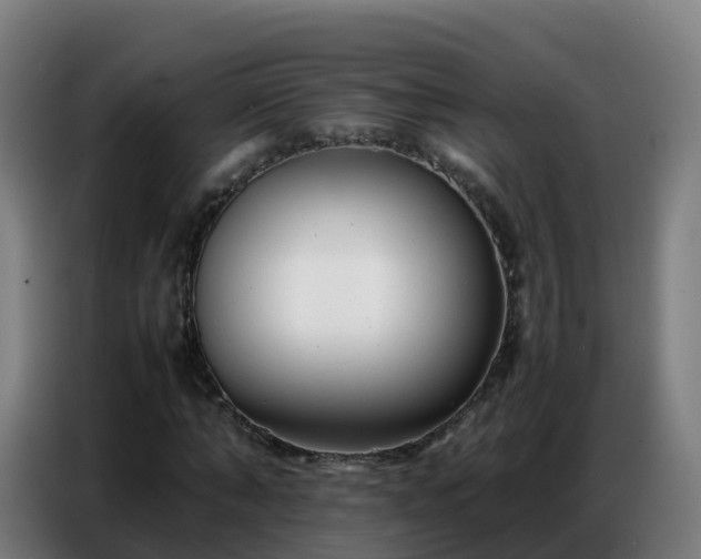 X0000086740870200704201704