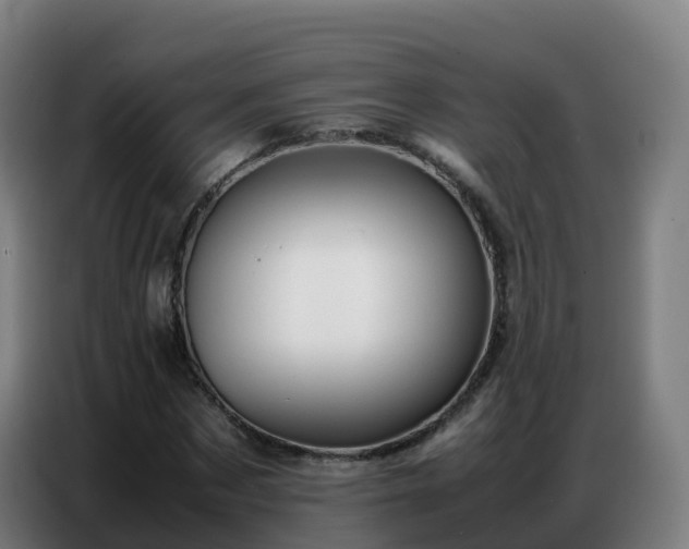 X0000086740873200704201704