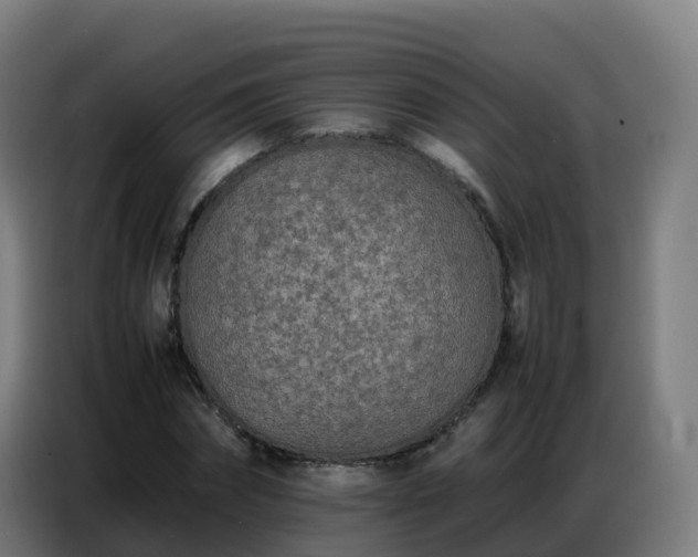X0000086740874200704201704