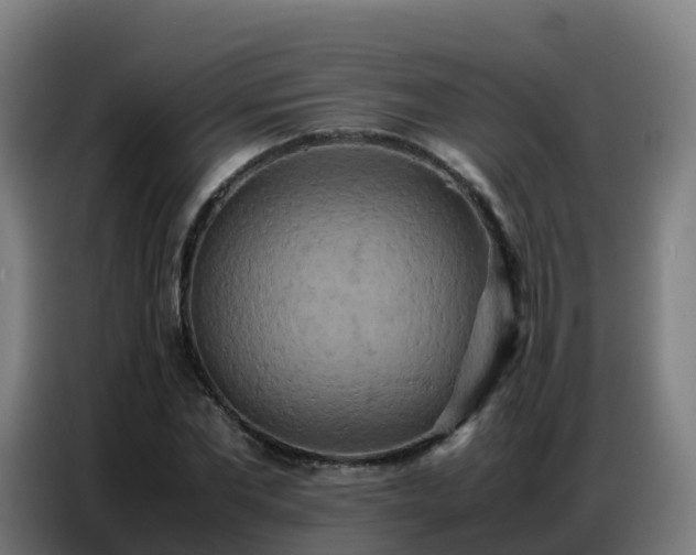 X0000086740877200704201703