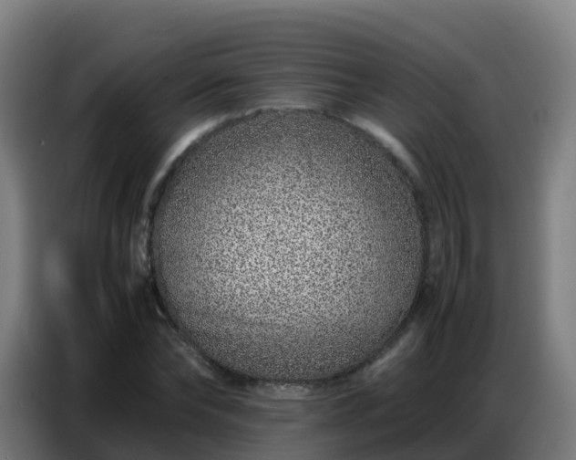 X0000086740878200704201703