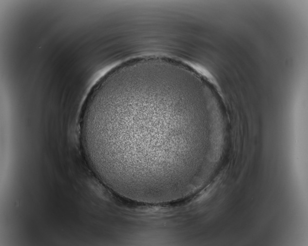 X0000086740879200704201703