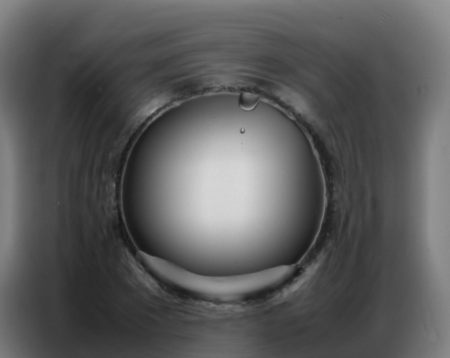 X0000086740881200704201703