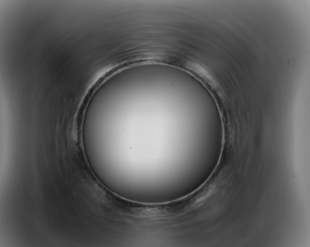 X0000086740883200704201703