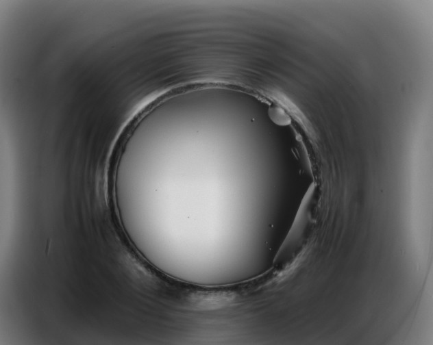 X0000086740884200704201703