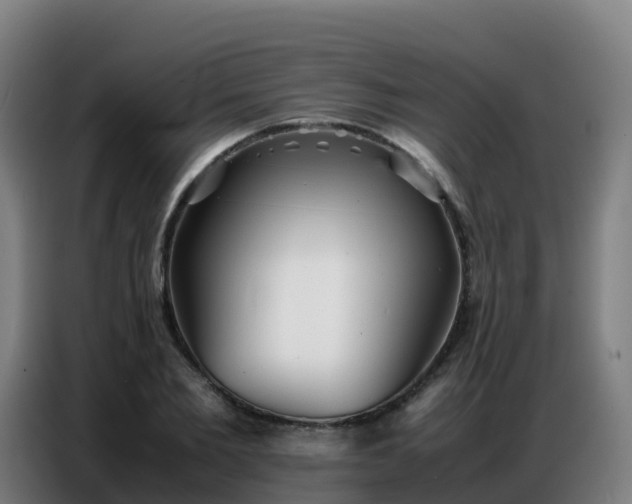 X0000086740885200704201703