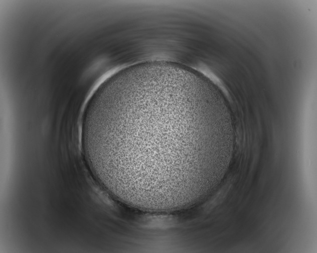 X0000086740886200704201703