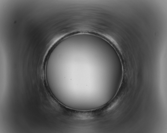 X0000086740887200704201703
