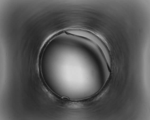 X0000086740888200704201703