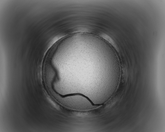 X0000086740890200704201703