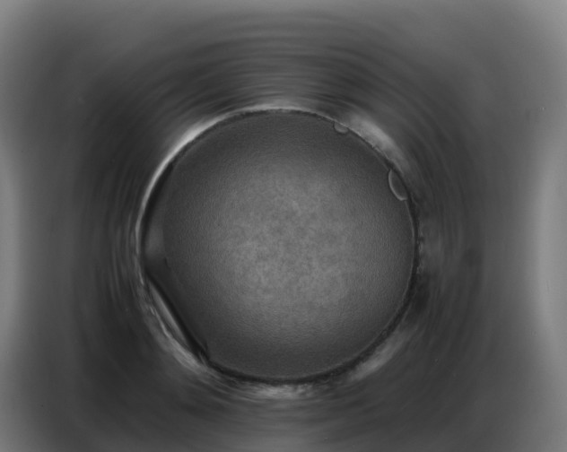 X0000086740892200704201703